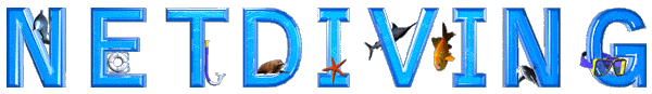 www.netdiving.com